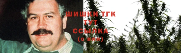 сатива Абаза
