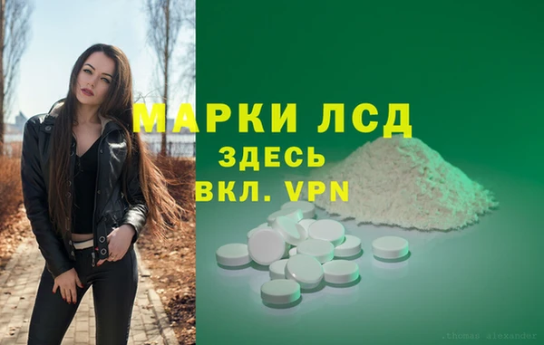 сатива Абаза